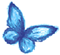 butterfly_animation_120px butterfly_animation_120px